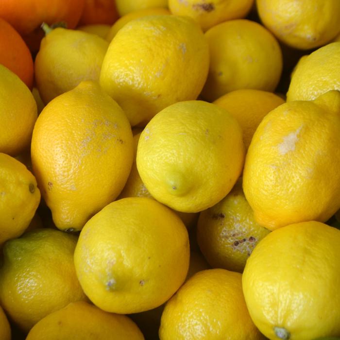 Lemon - 'Myers